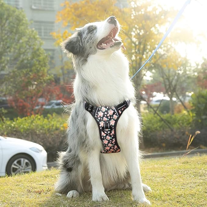 Timos No Pull Dog Harness,NO Need Go Over Dogs Head 3 Snap Buckles Reflective Oxford No Choke Harness with Front&Back 2 Metal Leash Clips Soft Padded for Small Medium Large Dogs,X-Large (Pack of 1)-Mewly Pet