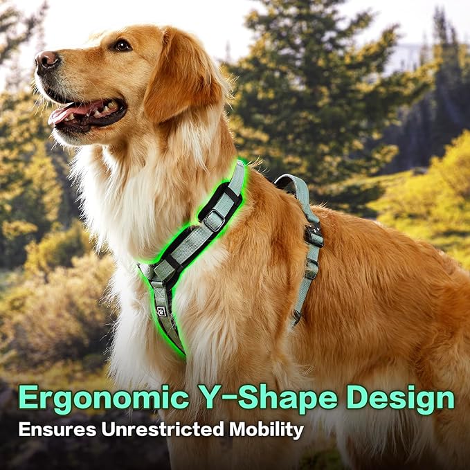 CLEPAWS Dog Harness for X-Large Dogs, No Pull Dog Harness Easy Walk with Metal Hardware, Ergonomic Y-Shaped Design, Soft Padding, Padded Handle, Durable High-Tensile Nylon (Seabreeze, XL)-Mewly Pet