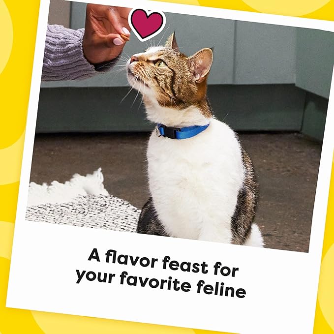 Temptations MixUps Backyard Cookout Flavor Crunchy and Soft Cat Treats, 16 oz. Tub-Mewly Pet