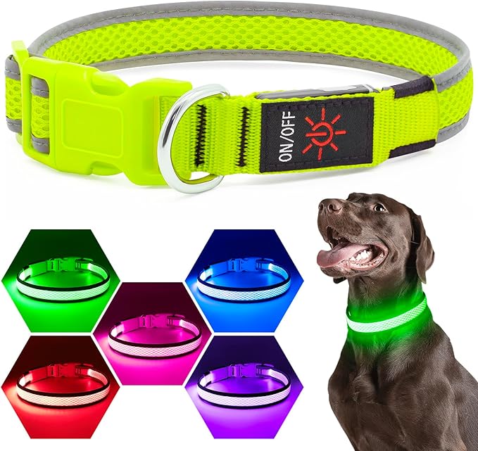 LED Dog Collar, Light Up Dog Collar USB Rechargeable, Brightest Dog Lights for Night Walking, Adjustable Dog Collar Light for Dog Safety(Small, Neon Green)-Mewly Pet