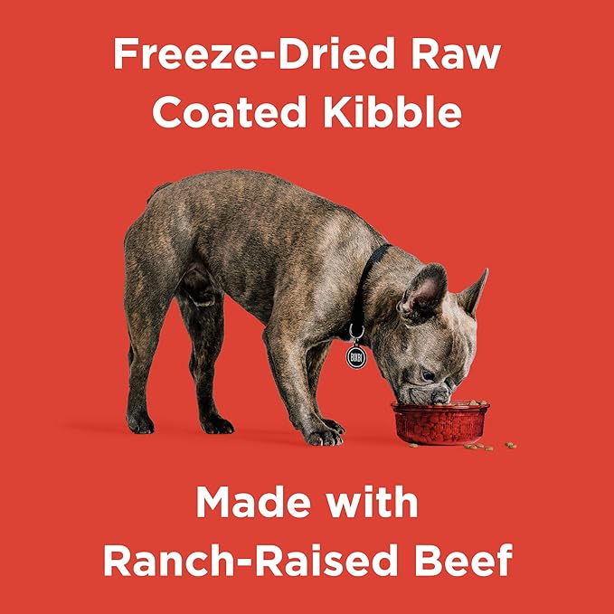 BIXBI Rawbble Dry Dog Food, Beef, 4 lbs - USA Made with No Meat Meals or Fillers - Freeze Dried Raw Coated Dog Food - Industry Leading Digestibility-Mewly Pet