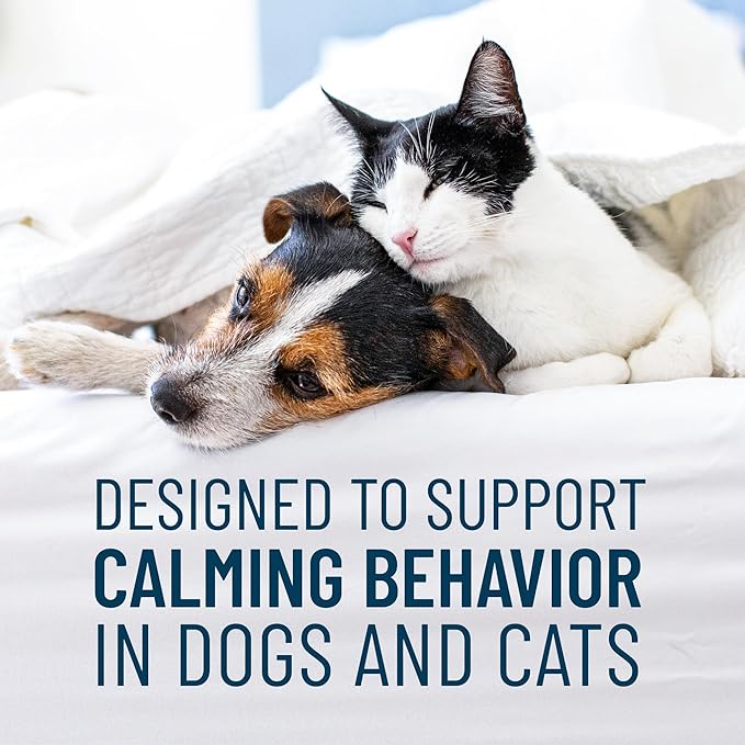 Nutramax Solliquin Calming Behavioral Health Supplement for Small to Medium Dogs and Cats - With L-Theanine, Magnolia / Phellodendron, and Whey Protein Concentrate, 75 Soft Chews-Mewly Pet