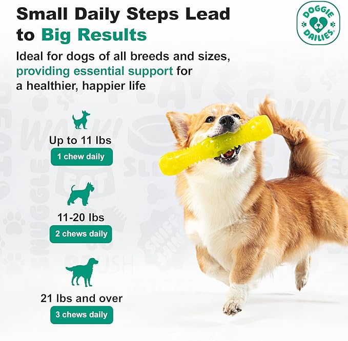 Doggie Dailies Puppy Probiotic, Probiotics for Puppies with Digestive Enzymes, Promotes Digestive Health, Supports Immune System & Overall Development (Pumpkin) 120 Soft Chews-Mewly Pet