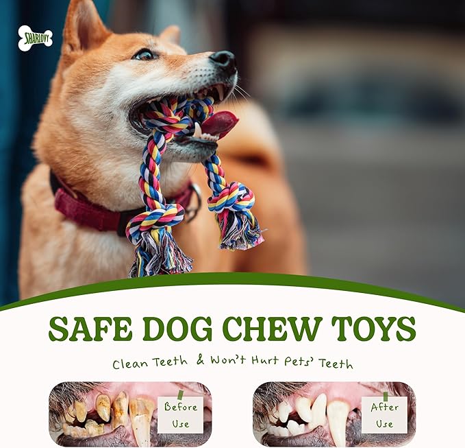 2 Pack Dog Rope Toy for Small Dogs, Puppy Teething Toys, Durable Cotton Puppy Chew Toys for Teething, Small Dog Toys for Aggressive Chewers, Interactive Tug of War Dog Toy for Puppies Boredom-Mewly Pet