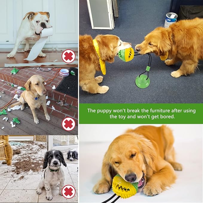 Dog Toys, Dog Chew Toys for Aggressive chewers, Puppy Training Treats Teething Rope Toys for Boredom, Puzzle Treat Food Dispensing Ball for Puppies Teething Small Dogs (Green)-Mewly Pet