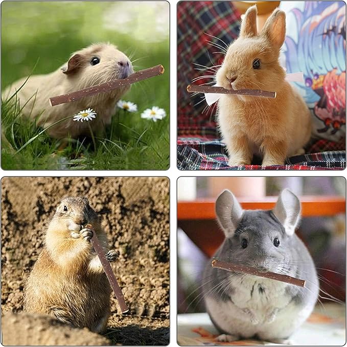 600g Apple Sticks Molar Wood Treats, Rabbit Toys Chinchilla Guinea Pig Bunny Toys Wood Chews Sticks for Teeth Rabbit Food Guinea Pig Hamster Gerbil Chews Small Animals Snacks(150 Pcs)-Mewly Pet