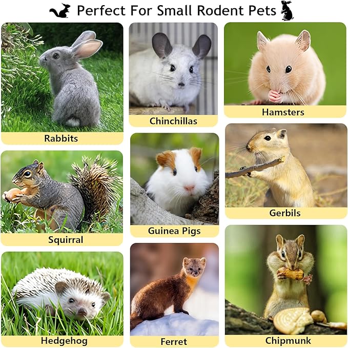 600g Organic Apple Sticks Small Animals Molar Wood Treats Toys for Chinchillas Guinea Pig Rabbits Hamster Gerbil Parrot Bunny Chew Stick Toys, 21.2 OZ-Mewly Pet