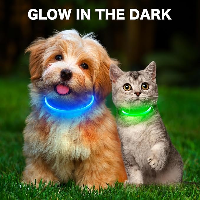 BSEEN Light Up Dog Collar, High Visibility LED Dog Collar Rechargeable- Rainproof TPU Cuttable Glowing Pet Collar for Small Dogs & Cats - Puppy Safety Lights for Night Walking (XS- Blue 40cm)-Mewly Pet