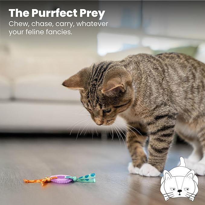 Catstages Kitty Chew Wheel, Dental Cat Toy with Catnip Oil, Teeth Cleaning, Healthy Chewing, Boredom Relief, Kicking & Batting for Kittens and Adult Cats, Purple-Mewly Pet