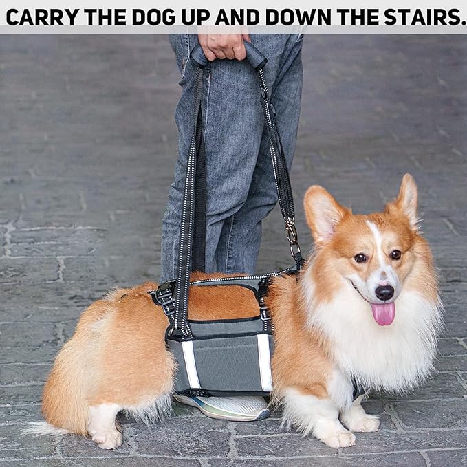 COODEO Mobility Dog Lift Harness, Emergency Carry Sling, Pet Rear Leg Support Rehabilitation Lifts Vest, Dog Carrier for Senior Dogs Joint Injuries, Arthritis (Military Green, XL)-Mewly Pet