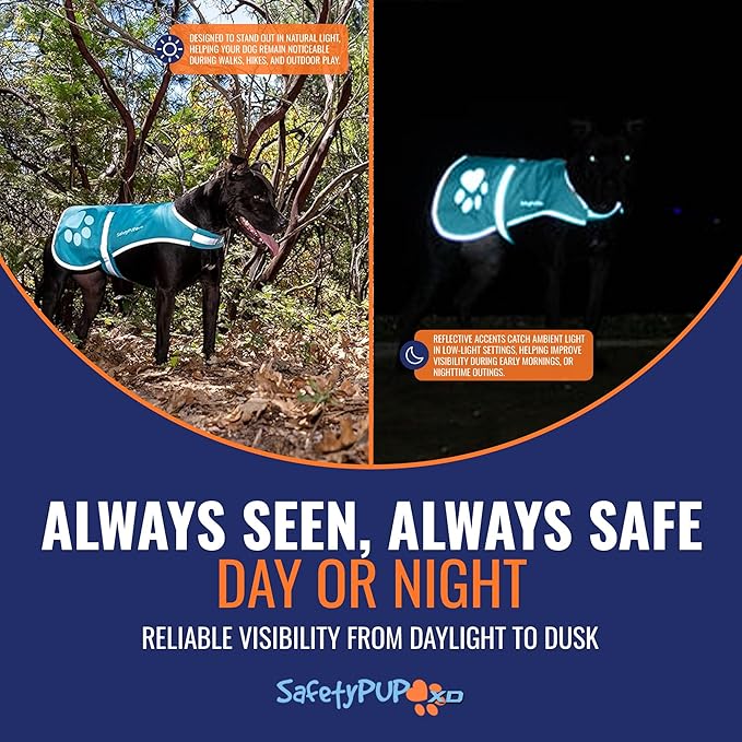 Dog Reflective Vest – Hi-Vis Fluorescent Visibility That Helps to Safeguard Your Pet On/Off Leash in Urban & Rural Areas (Teal, X-Small)-Mewly Pet