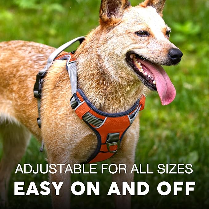 Embark Adventure Dog Harness, No-Pull Reflective Trim Dog Harness for Small, Medium & Large Dogs - Military Grade Nylon, 2 Leash Clips & Gel Lined Handle. Soft & Padded Puppy Dog Vest for Any Breed-Mewly Pet