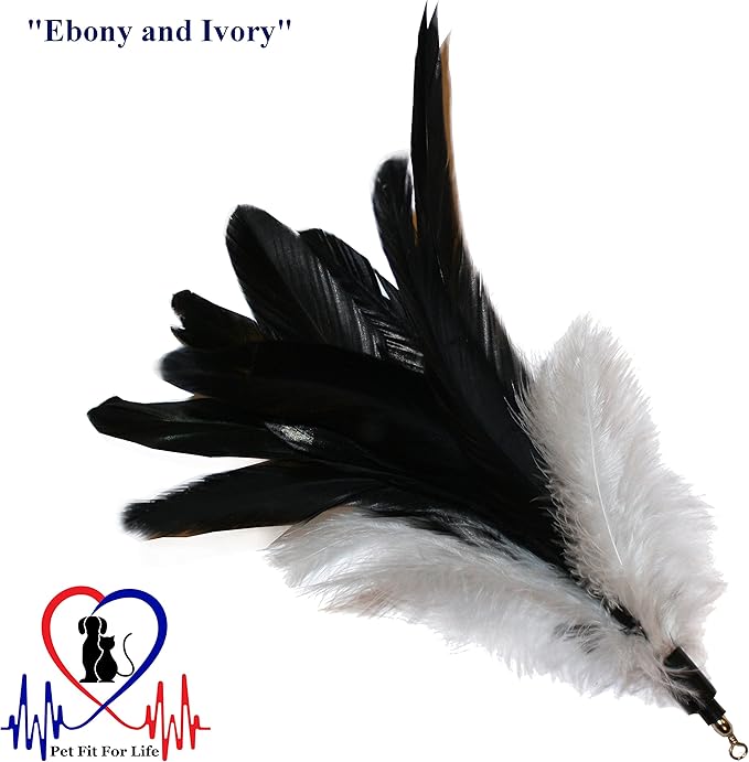 Pet Fit For Life 4 Piece Dual Rod Feather Teaser and Exerciser for Kitten and Cats - Cat Toy Interactive Cat Wand-Mewly Pet