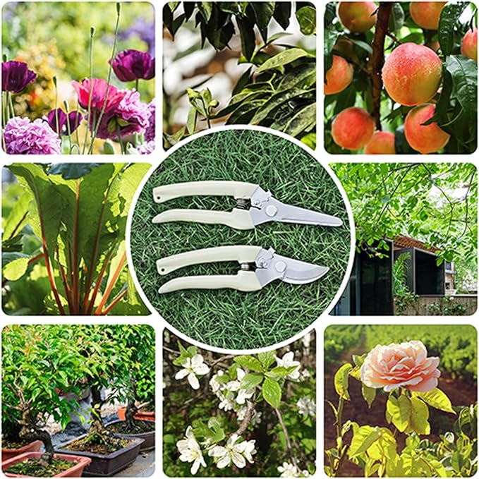 Premium garden shears, meperez pruning scissors gardening tools, pruners for flower, bushes, rose and fruit tree, use for florist, yard and orchard the plant clippers, sharp white steel anvil snips, 2-Mewly Pet