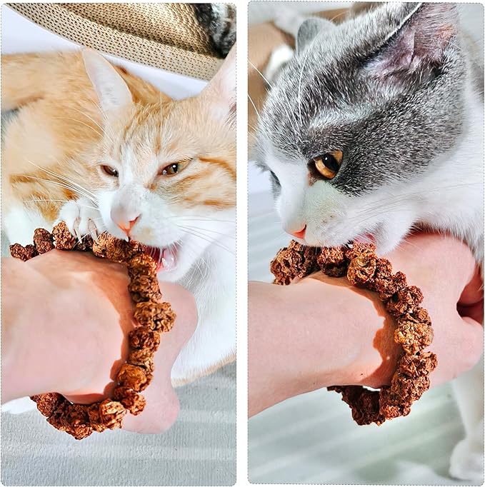 Natural Silvervine Gall Fruit Cat-Attracting Bracelet,Interactive Cat Toy for Relaxing and Teething, Catnip Alternative (Small Gall Fruit)-Mewly Pet