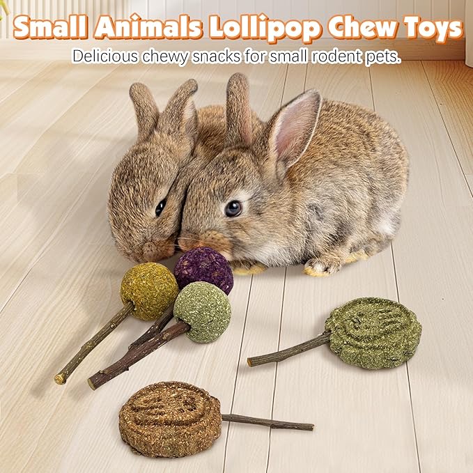 Fhiny Rabbit Chew Toys, 15 PCS Natural Bunny Lollipop Chew Sticks Handmade Guinea Pig Molar Treats for Teeth Small Animals Snacks for Guinea Pig Bunny Chinchilla Hamster Gerbil Teeth Care-Mewly Pet