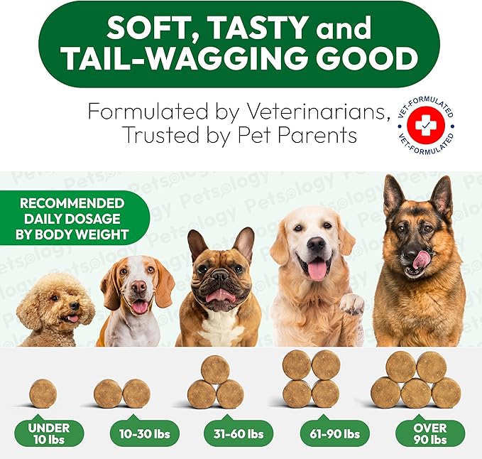 Flea and Tick Prevention for Dogs Pills - Natural Dog Flea & Tick Control - 170 Soft Chewables - Oral Defense Treatment for Dogs Supplement - Vet Formulated Chews - All Breeds & Ages - Made in USA-Mewly Pet