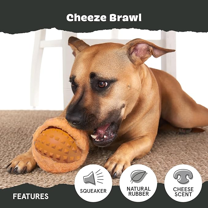 Barkbox Cheeze Brawl Super Chewer Plush Toy with Hard Core Center, Large-Mewly Pet