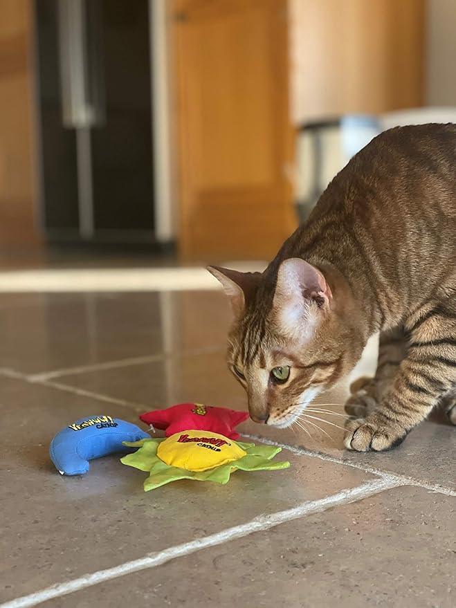 YEOWWW Catnip Cat Toy for Indoor and Outdoor Cats -Premium Quality Strong Catnip Toys for Cats (1x Crinkle Catnip Toy Sun 1 x Moon 1x Star)-Mewly Pet
