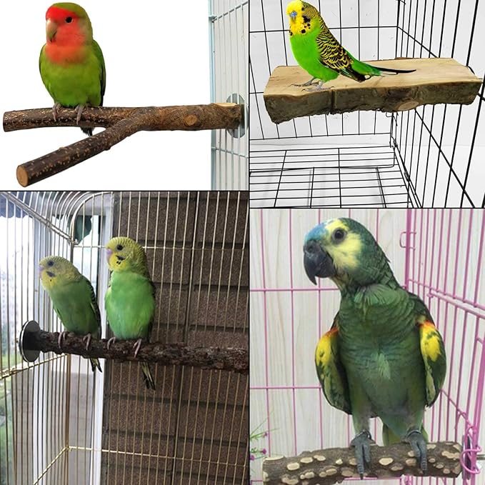 kathson 5PCS Wood Bird Perch Wooden Parrot Stand Toy Parakeet Standing Platform Chew Toys Natural Cuttlebone Paw Grinding Stick Cockatiels Cage Accessories Exercise Toy for Conures Budgies Lovebirds-Mewly Pet