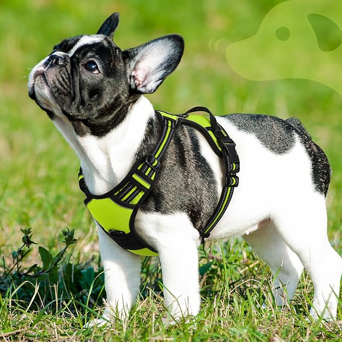 Eagloo Dog Harness Small Sized Dog, No Pull Service Vest with Reflective Strips and Control Handle, Adjustable and Comfortable for Walking, No Choke Pet Harness with 2 Metal Rings, Green, S-Mewly Pet