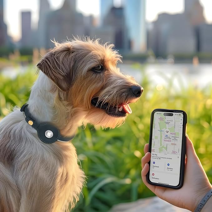 OOPSDOGGY Rolled Leather Dog Collar with Airtag Holder - Reflective Round Airtag Dog Collar - Soft Tracking Pet Collar for Small Dogs Puppy Cats Kitten (Red, M, 12"-15")-Mewly Pet