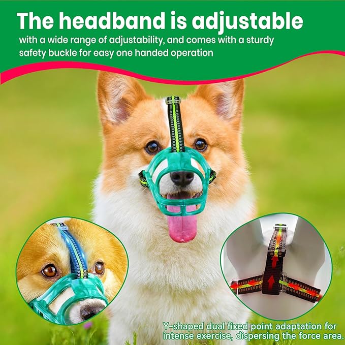 Dog Muzzle, Basket Muzzle for Small Medium Large Dogs, Anti-Biting and Chewing, Lightweight & Sturdy Cage Design, Allows Panting & Drinking, Ideal for Grooming & Training(Green Size M)-Mewly Pet