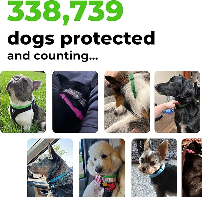 FurLife Flea and Tick Collar for Dogs – Waterproof Green Dog Collar, Pet Supplies for Tick and Flea Prevention for Dogs, Safe for All Breeds-Mewly Pet