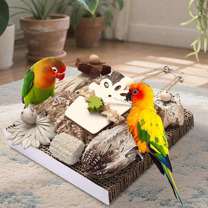 Kyouki Bird Toys, Parakeet Toys, Parrot Toy, Conure Hanging Chewable Cardboard Foraging Suitable for Budgies, Cockatiels, Lovebirds, Sun Conures - and Other Small/Medium Parrots (Medium)-Mewly Pet
