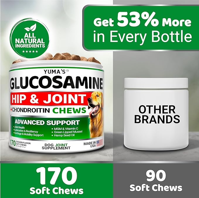 YUMA'S Glucosamine for Dogs - Hip and Joint Supplement for Dogs - 170 Ct - Glucosamine Chondroitin Chews - Joint Pain Relief Supplement with MSM - Advanced Health - Mobility Support - Made in USA-Mewly Pet