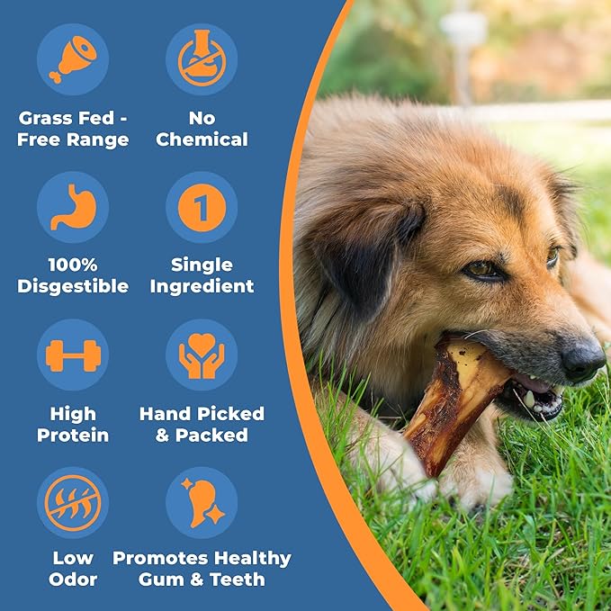 Beef Bone Marrow Dog Treats - Long Lasting Dog Bones for Aggressive Chewers - All-Natural Marrows Treats for Dogs - High-Protein Marrow Bones for Dogs Small, Medium, Large & Extra Large-Mewly Pet
