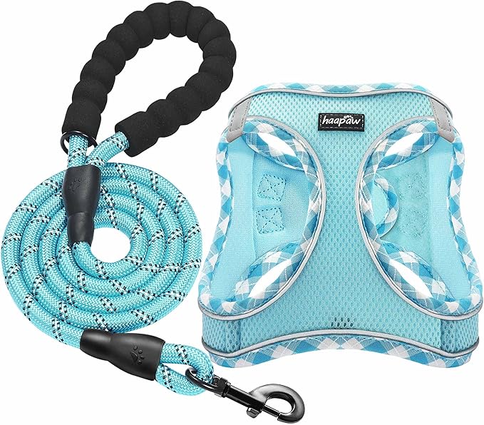 haapaw Dog Harness with Leash Set, No Pull Adjustable Reflective Step-in Puppy Harness with Thickened Padded Vest for Extra-Small/Small Medium Dogs-Mewly Pet