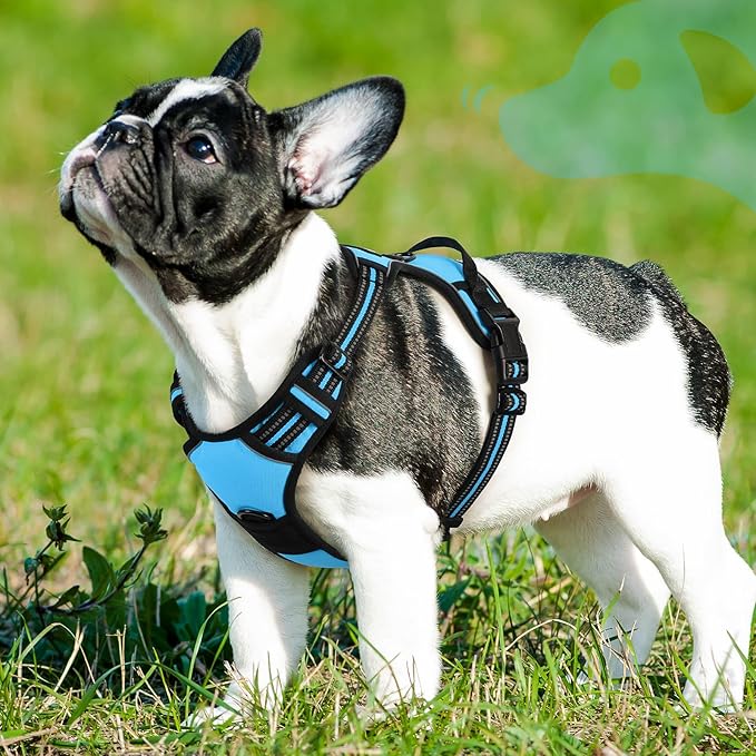 Eagloo Dog Harness Small Sized Dog, No Pull Service Vest with Reflective Strips and Control Handle, Adjustable and Comfortable for Easy Walking, No Choke Pet Harness with 2 Metal Rings, Sky Blue, S-Mewly Pet