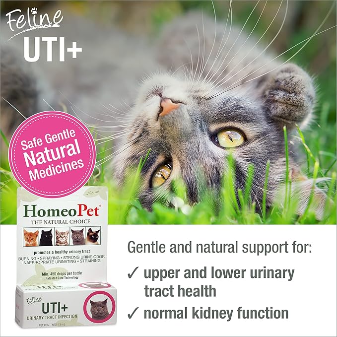 HomeoPet Feline UTI Plus, Safe and Natural Urinary Tract Supplement for Cats, Feline Urinary Tract Support, 15 Milliliters-Mewly Pet