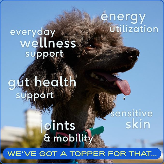 Native Pet Pack Leaders Bundle - Daily Dog Multivitamin (7 oz.) & Omega Oil for Dogs (8 oz.) - Omega 3 Fish Oil for Healthy Skin, Shiny Coat, & Strong Joints & Daily Multivitamin for Dogs-Mewly Pet