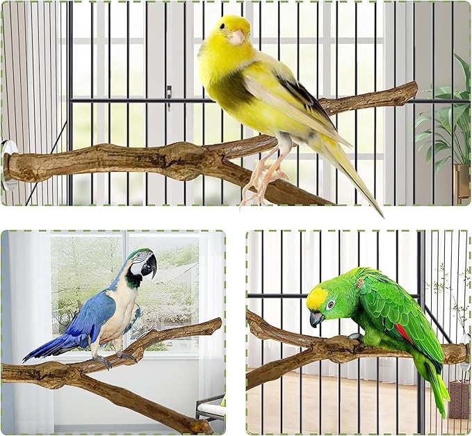 kathson Natural Parrot Perch Bird Stand Pole Wild Grape Stick Paw Grinding Fork Parakeet Climbing Standing Branches Toy Chewable Cage Accessories for Small Budgies Cockatiels Lovebirds 4PCS-Mewly Pet