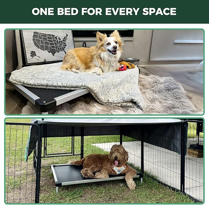 FXW TitanNest Chew-Proof Elevated Dog Bed, Raised Cot for Indoor/Outdoor/Camping Use, Durable & Waterproof Cooling Pet Bed for Large Dogs, 50.0" L x 31.0" W x 7.3" H, Black-Mewly Pet