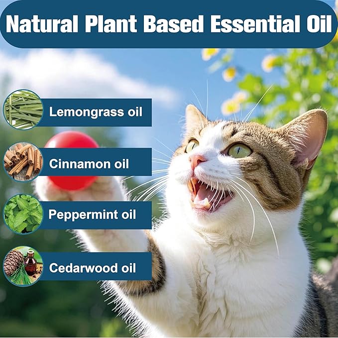 Flea Collar for Cats, Flea and Tick Collars for Kittens, Flea & Tick Treatment Prevention, Natural Essential Oil, 2 Pack, 16 Months Protection, One Size Fits All, Waterproof-Mewly Pet