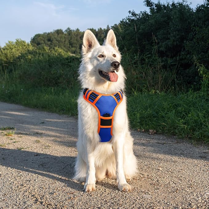 Eagloo Dog Harness for Large Dogs, No Pull Service Vest with Reflective Strips and Control Handle, Adjustable and Comfortable for Walking, No Choke Pet Harness with 2 Metal Rings, Blue & Orange, XL-Mewly Pet