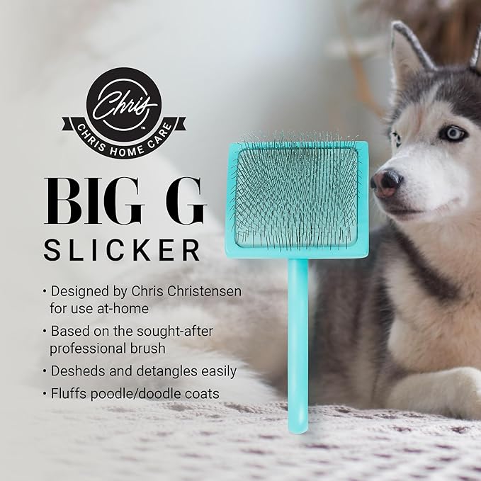 Chris Christensen Big G Dog Slicker Brush for Dogs (Goldendoodles, Labradoodles, Poodles), Groom Like a Professional, Fluff Detangle Style, Saves Time Energy, Teal, Large-Mewly Pet