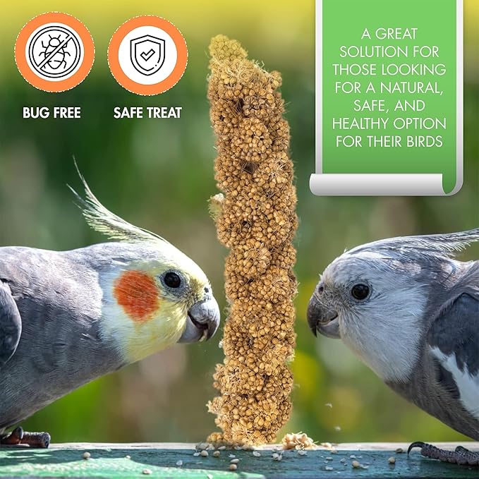 5LBS GMO-Free Sun Dried Spray Millet - Original Bird Treat Millet for Parakeets, Cockatiels, Finches & More - Non-GMO, High in Amino Acids, Easy Storage, Tasty & Healthy Bird Snacks (5 lbs)-Mewly Pet