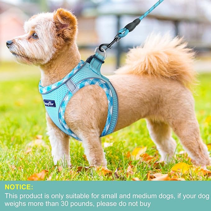 haapaw Dog Harness with Leash Set, No Pull Adjustable Reflective Step-in Puppy Harness with Thickened Padded Vest for Extra-Small/Small Medium Dogs-Mewly Pet