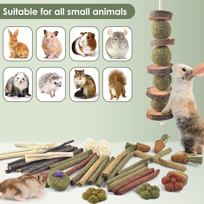 ERKOON Bunny Toys Boredom, 42 PCS Bunnies Timothy Hay Sticks Carrots Rose Grass Cake Dental Care, Molar, Chinchillas Toy Chew Toy, Guinea Pigs, Hamsters, Chinchilla, Rabbit Chew Toys for Teeth-Mewly Pet