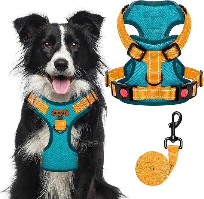 MIDOG No-Pull Dog Harness | Adjustable & Reflective Pet Harness Leash Set for Small Medium Large Dogs Walking, Training| No Choke, Front Clip, Soft Padded Vest with Easy Control Handle - Blue, XL-Mewly Pet