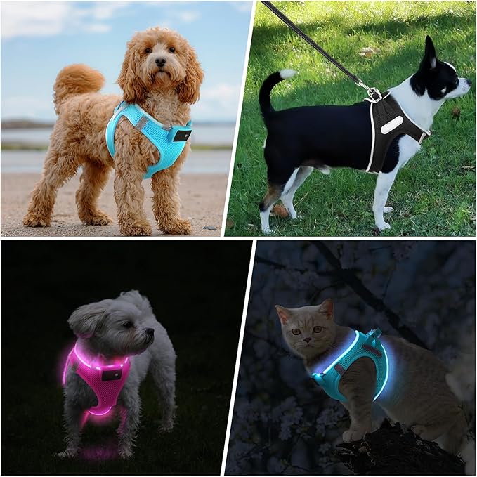 PceoTllar Light Up Dog Harness, LED No Pull Reflective Dog Harness, Flashing Lighted for Night Walking - Small/Medium, (Blue M)-Mewly Pet