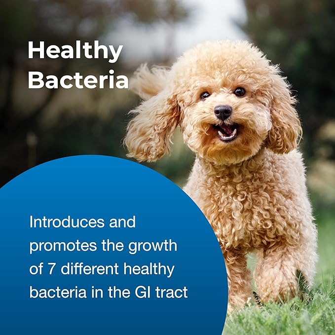 PetAg Bene-Bac Plus - 1 lb Powder - FOS & Probiotics for Dogs, Cats, Exotic & Wildlife Mammals-Mewly Pet