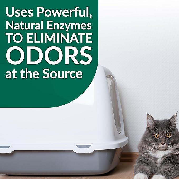 Simple Green Cat Stain & Odor Remover - Enzyme Cleaner for Cat Urine, Feces, Blood, Vomit (32 oz Sprayer & 1 gallon Refill)-Mewly Pet