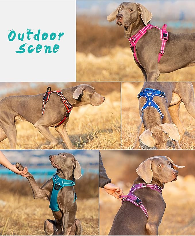 TRUE LOVE Dog Harness No Pull Nylon Reflective Pet Harness Adjustable Comfortable Control Step-in Brilliant Colors Truelove TLH56512 Orange-Mewly Pet