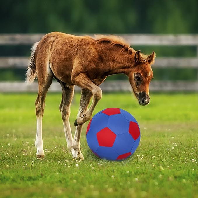 Herding Ball for Dogs Horse Ball & Cover 25" for Horses Large with Hand Pump for Play, Blue and Red-Mewly Pet