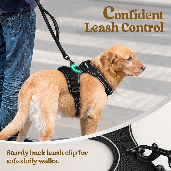 rabbitgoo Dog Harness No Pull with 2 Leash Clips, Adjustable Soft Padded, Reflective Oxford No Choke Pet Vest with Easy Control Handle for Medium Sized Dogs, Black, M-Mewly Pet